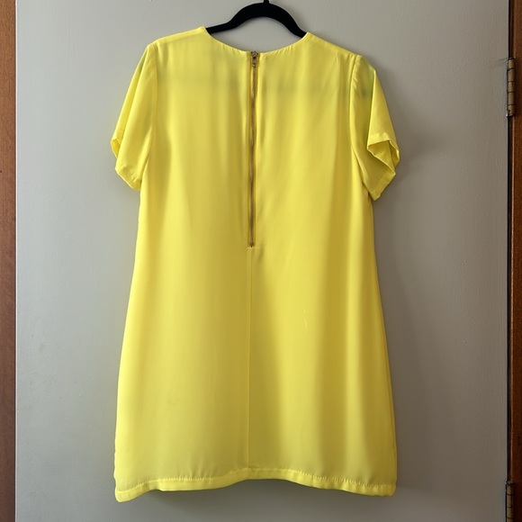 Olivaceous Mini Shift Dress - Picture 3 of 3